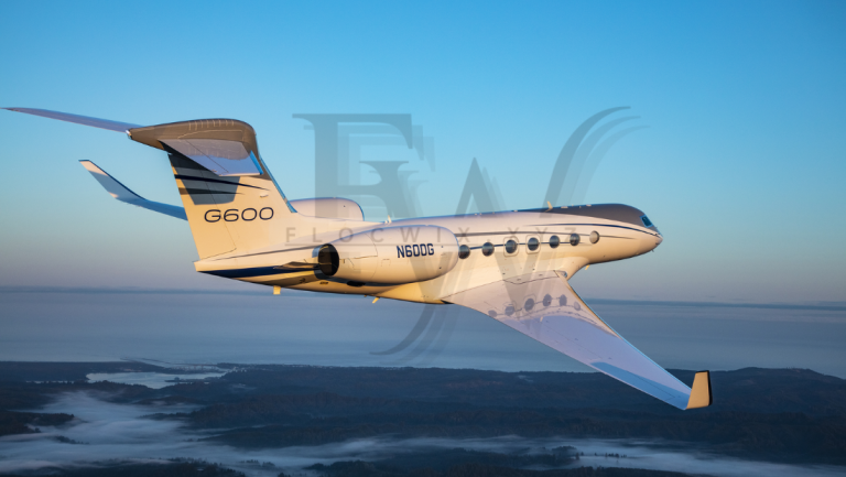 Gulfstream G600 Business Jet